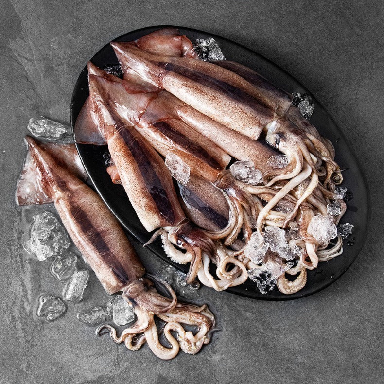 [Blue Bay] Whole squid (4 pieces/pack, 1.4~1.7kg)