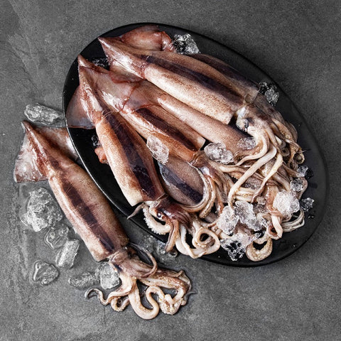 [Blue Bay] Whole squid (4 pieces/pack, 1.4~1.7kg)