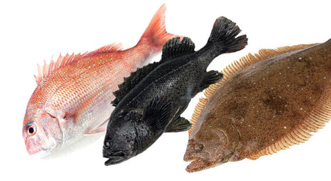 Assorted raw fish (flatfish/red sea bream/sea bass)