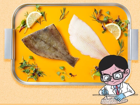 [Spine Removal Research Institute] Flounder Table (650g)