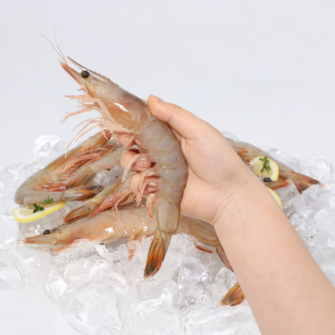 [Blue Bay] Wild prawns (Korea, 2Kg) 