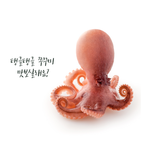 [바이블루몰] 국내산 냉동 쭈꾸미 (대용량, 1KG)