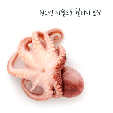 [바이블루몰] 국내산 냉동 쭈꾸미 (대용량, 1KG)